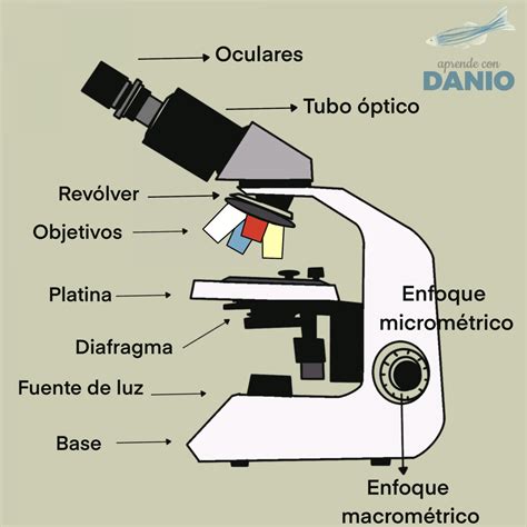 partes do microscopio